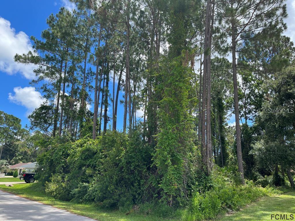 85 PORT ROYAL DRIVE