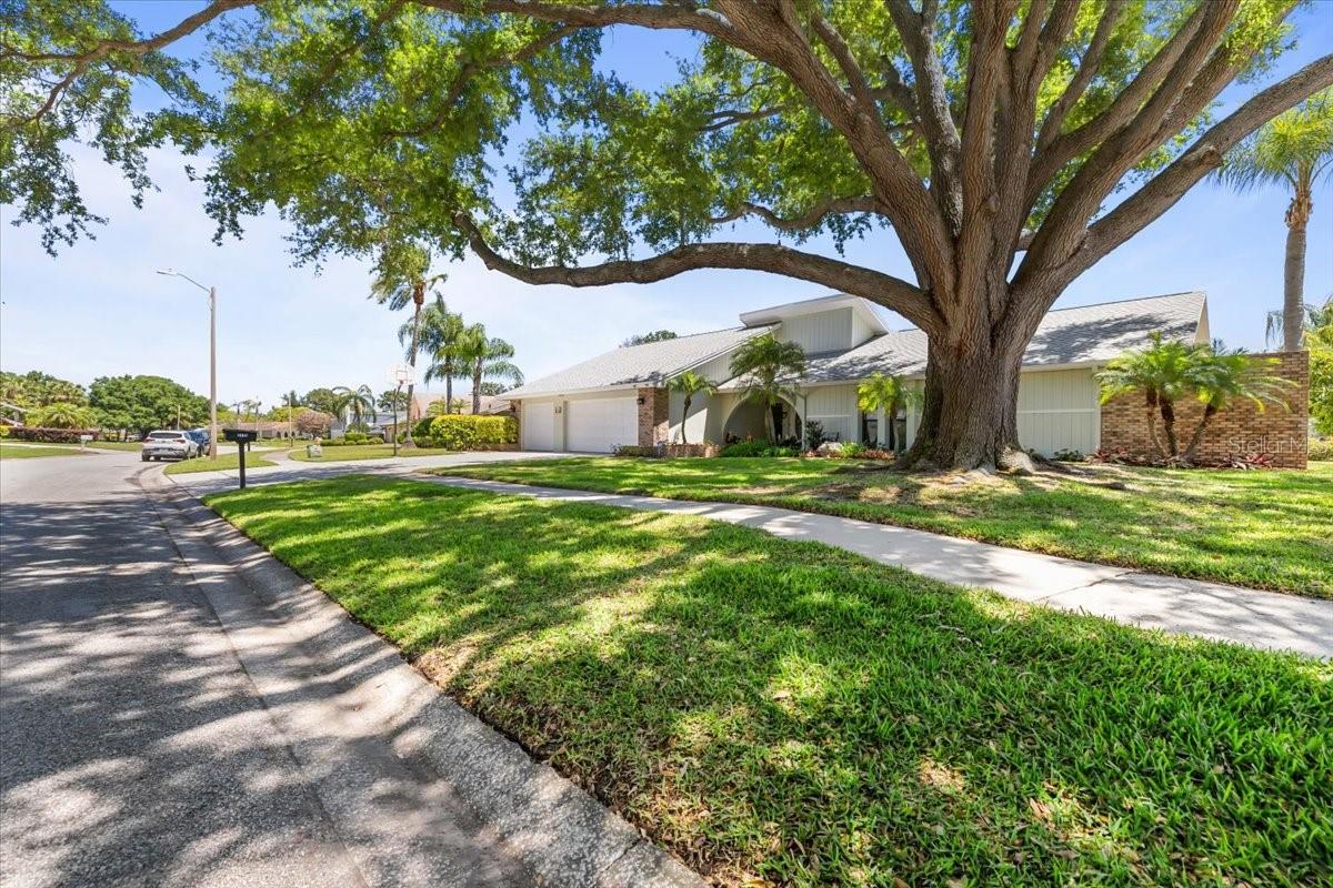 COUNTRYSIDE TRACT 56 - Residential