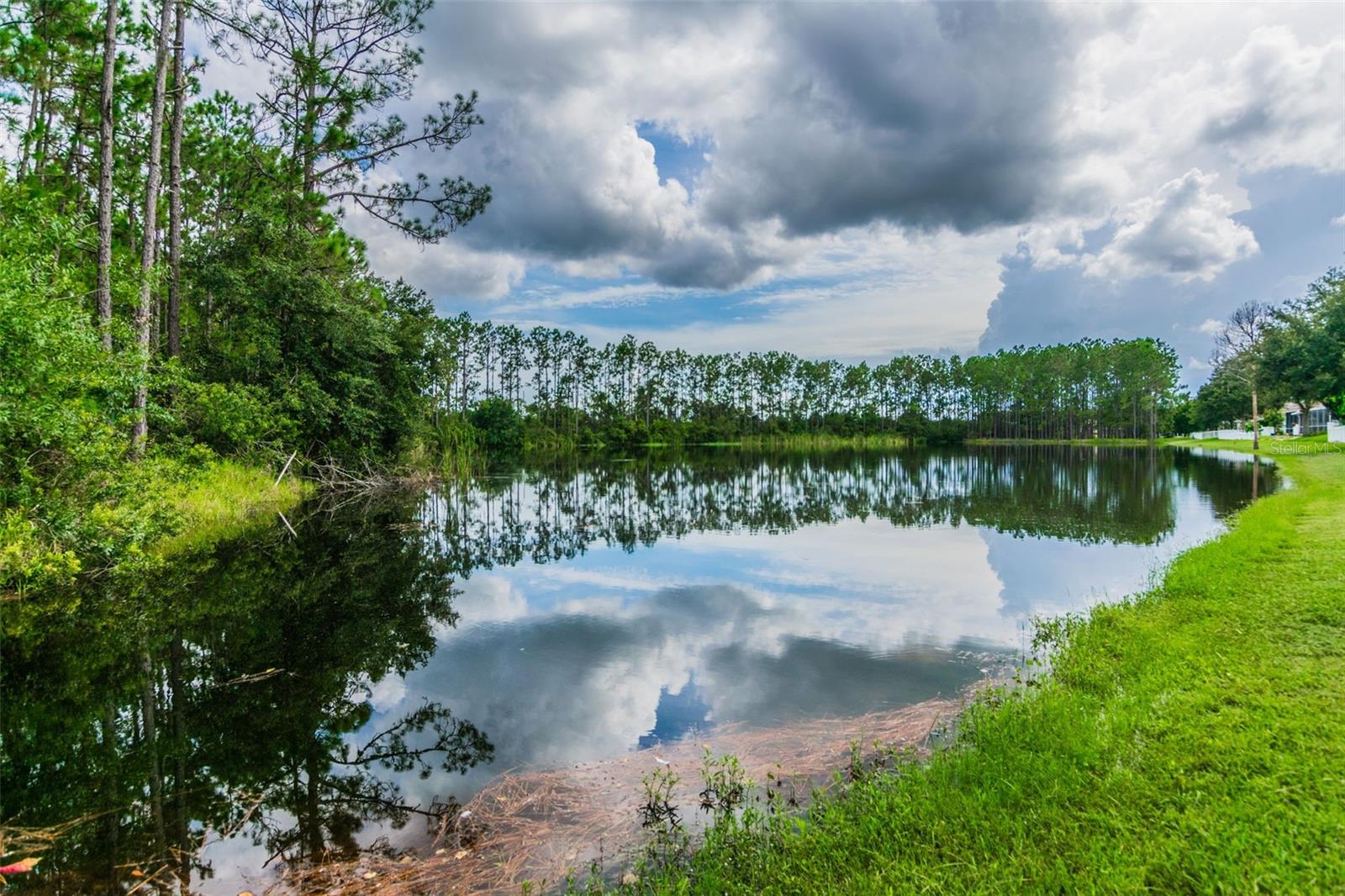 REFLECTIONS PH 1 - Residential