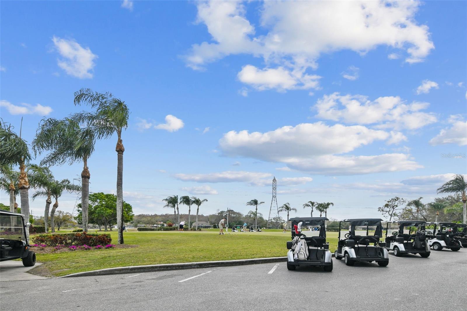 EAST LAKE WOODLANDS CYPRESS ESTATES UNIT - Residential