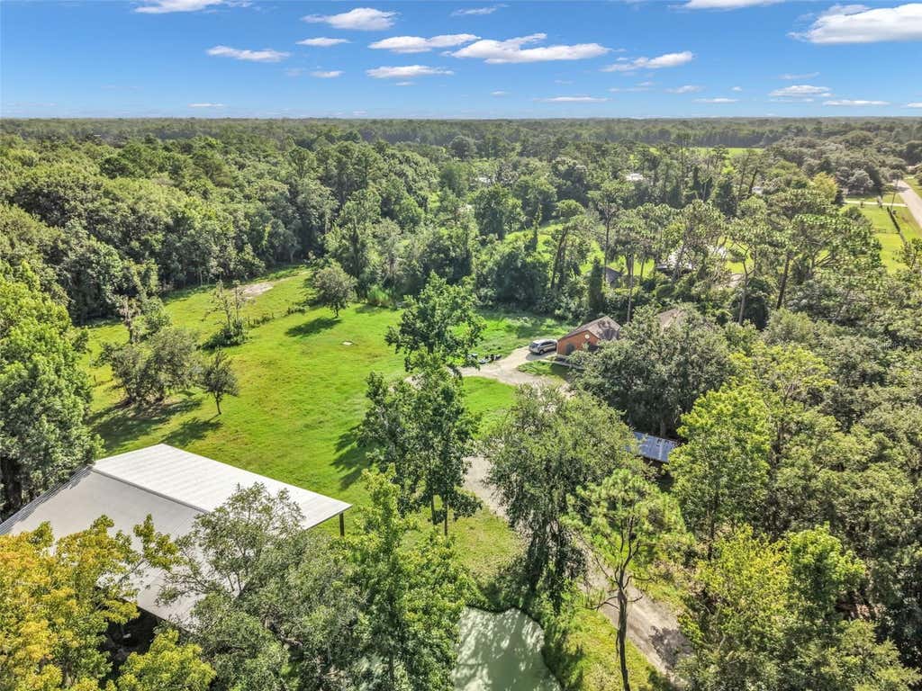 Photo of 24003 Sisler Avenue, Christmas, FL 32709 (MLS # O6424796)