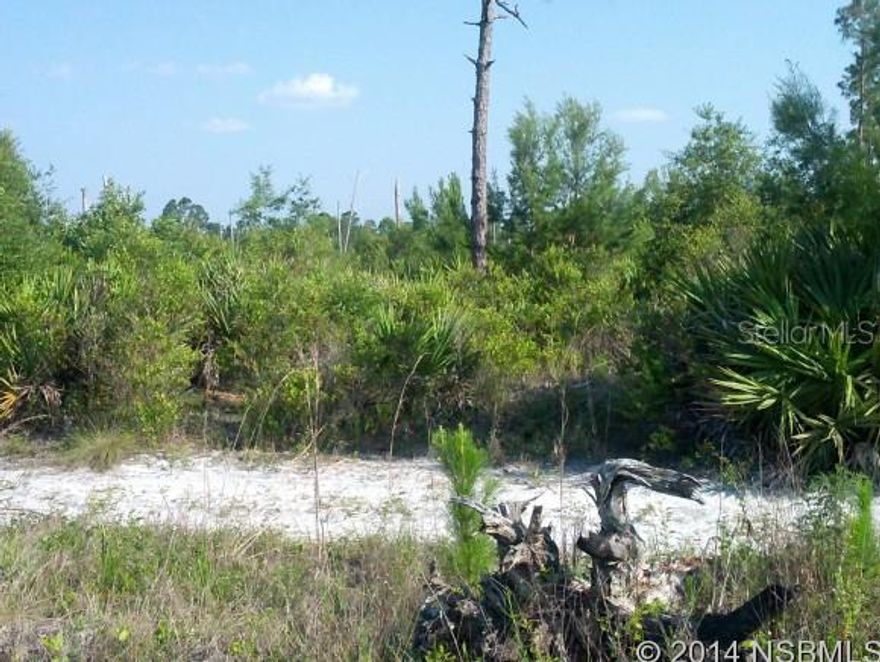 Great location to build and have the privacy of owning 2.5 acres. Close to Daytona Beach shopping, flea market and speedway.  Located in Quail Roost Ranches.; Cleared: Partial ;Water: Holding Tank