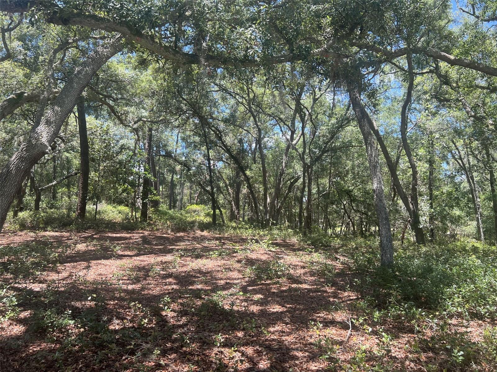 1425 RENBAR ROAD