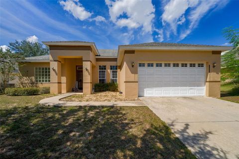 Photo of 33213 Irongate Drive, Leesburg, FL 34788 (MLS # O6347218)