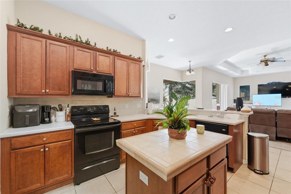 Photo of 33213 Irongate Drive, Leesburg, FL 34788 (MLS # O6347218)