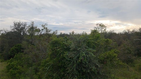Photo of 7388 N Manville Road, Citrus Springs, FL 34434 (MLS # A4708223)