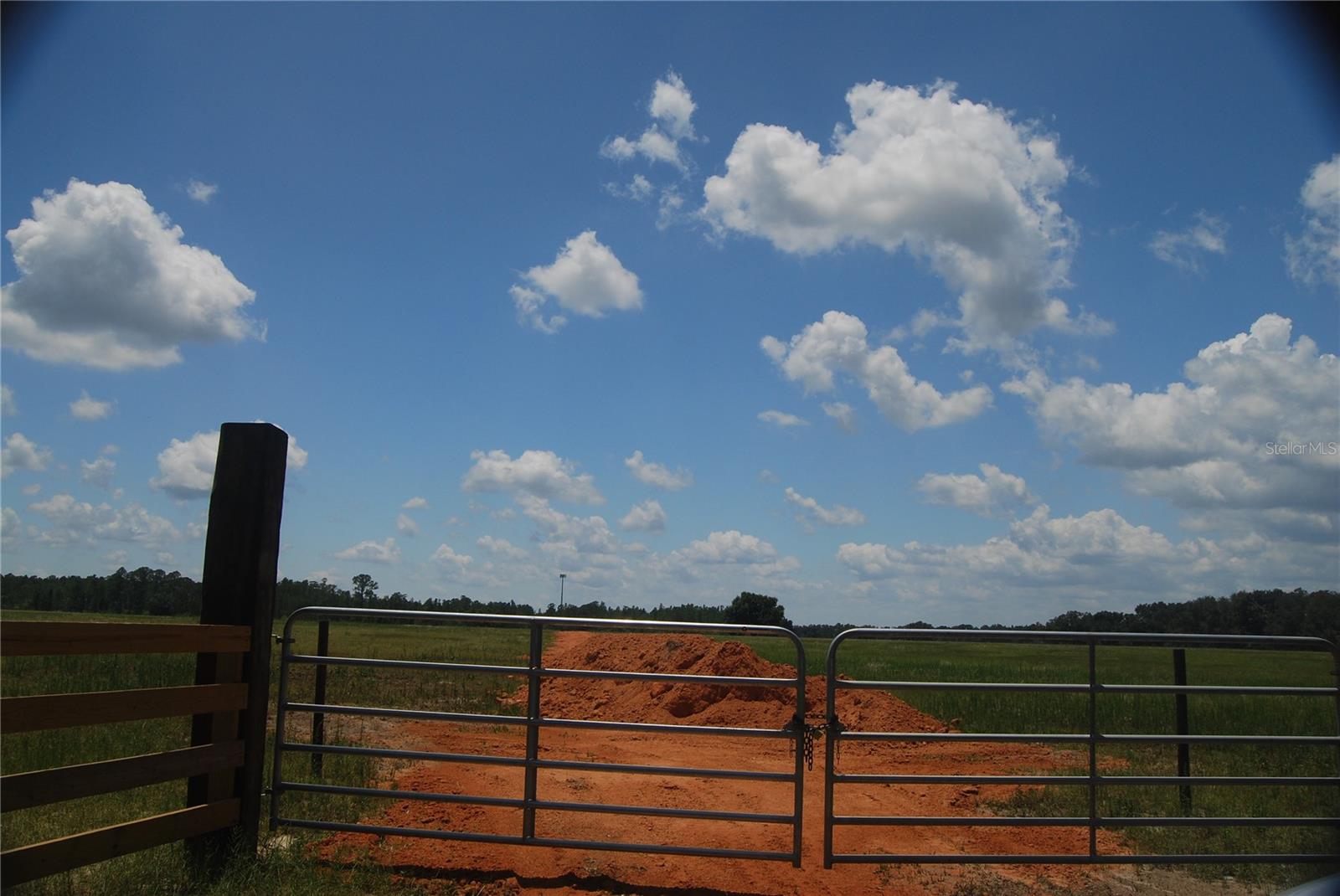 GROVELAND FARMS 20-23-25 - Land