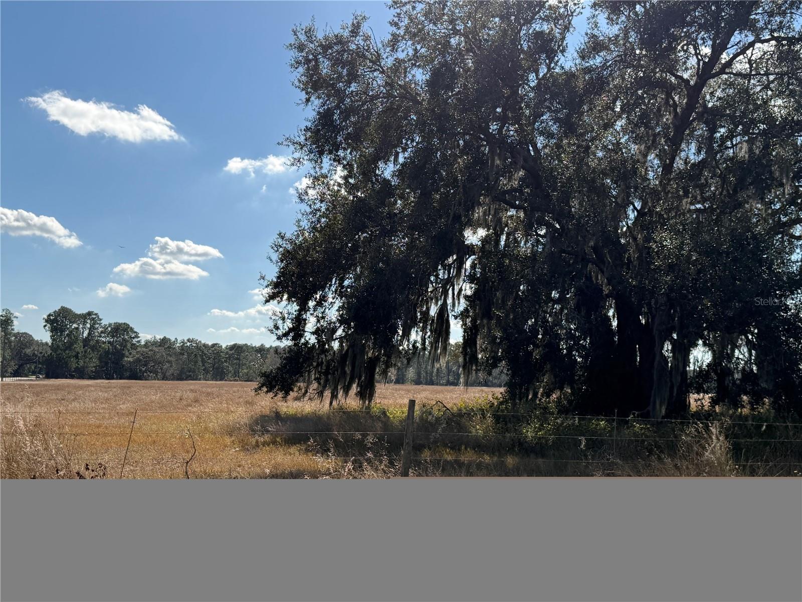 GROVELAND FARMS 20-23-25 - Land