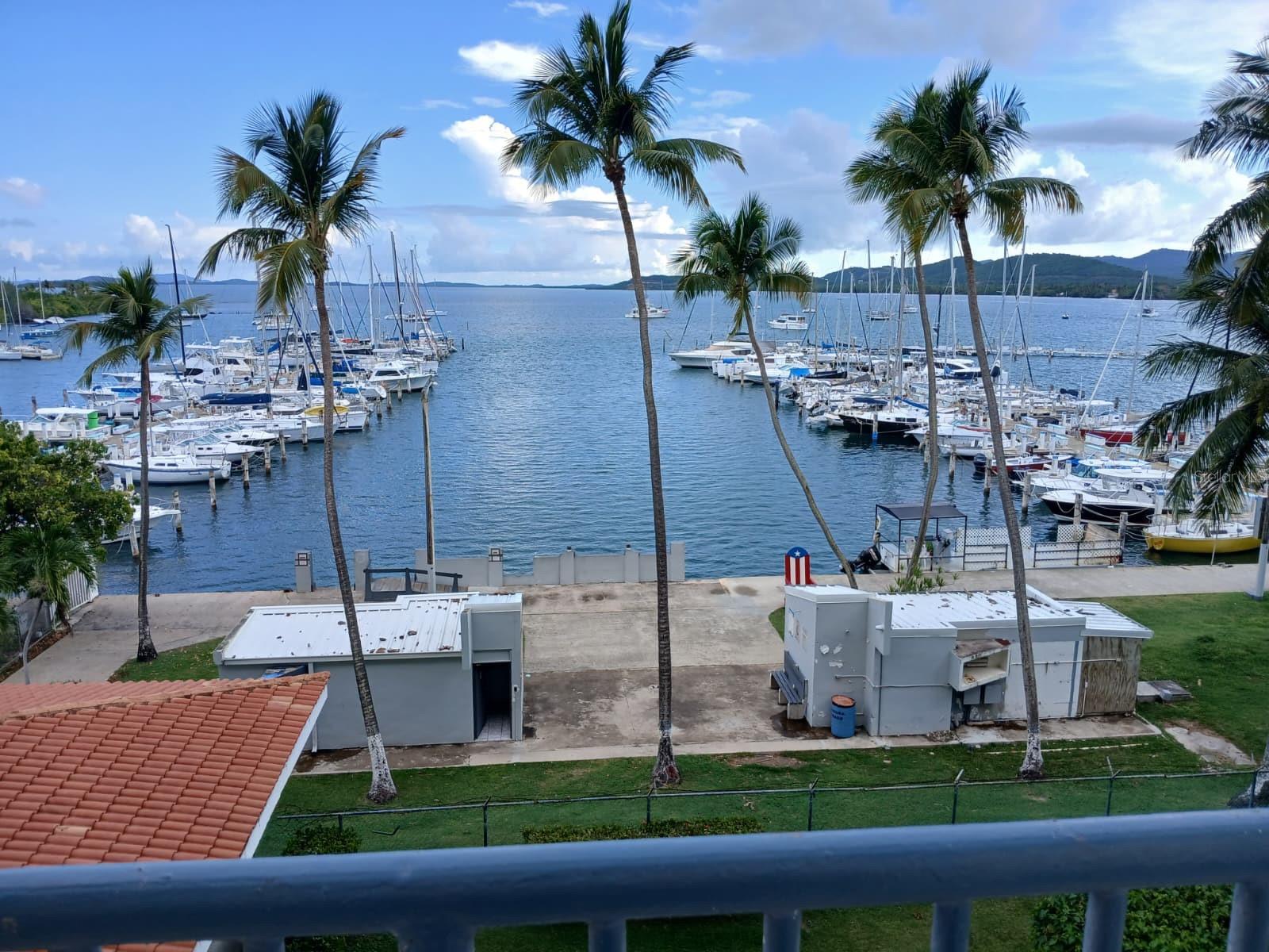 ISLETA MARINA 4C - Residential