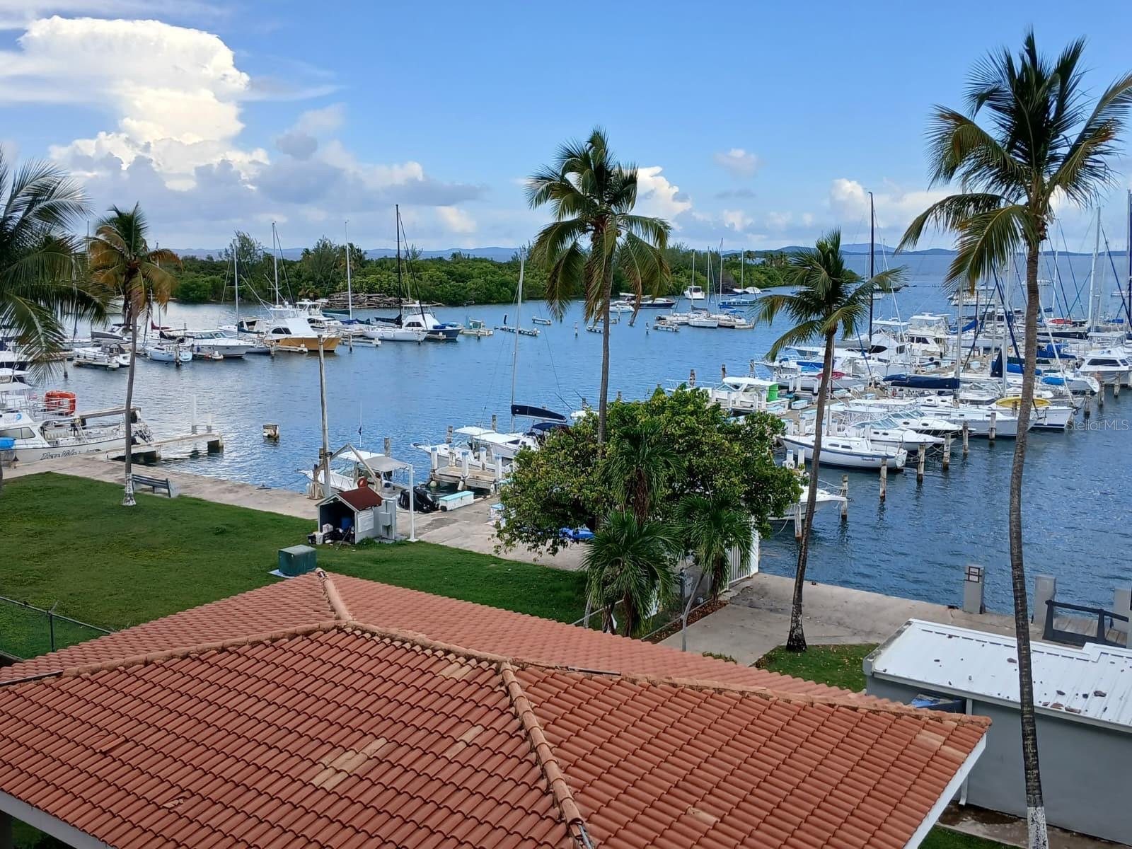 ISLETA MARINA 4C - Residential