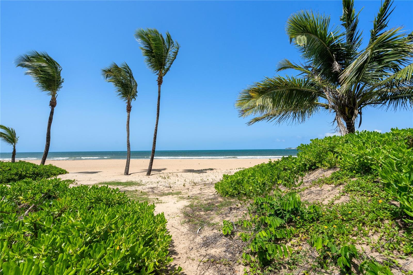OCEAN DRIVE BEACHFRONT RESIDENCES CONDOMINIUM III - Residential