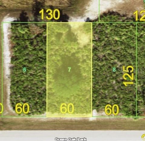 153 GREEN OAK PARK ROTONDA WEST FL 33947