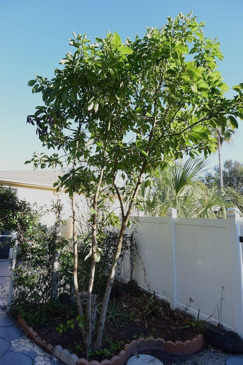 WEEKI WACHEE WOODLANDS - Residential