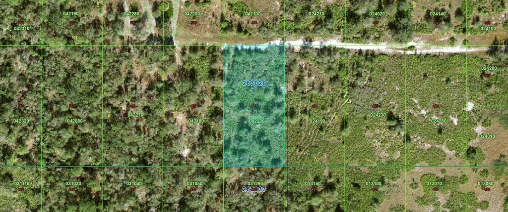 Photo of 483 N/A, Bartow, FL 33830 (MLS # TB8347336)