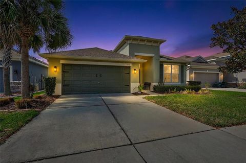 11431 COVENTRY GROVE CIRCLE LITHIA FL 33547