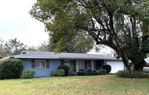 63 DAHLIA DRIVE DEBARY FL 32713