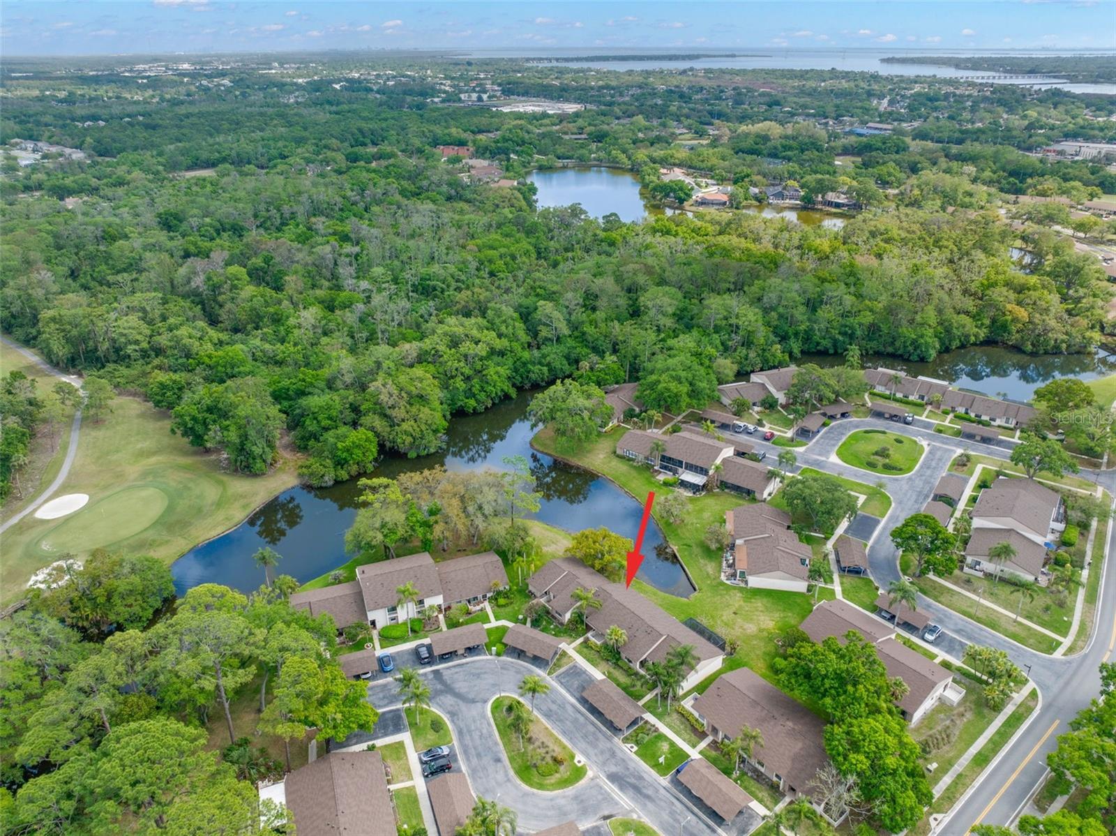 EAST LAKE WOODLANDS CLUSTER HOMES - Residential