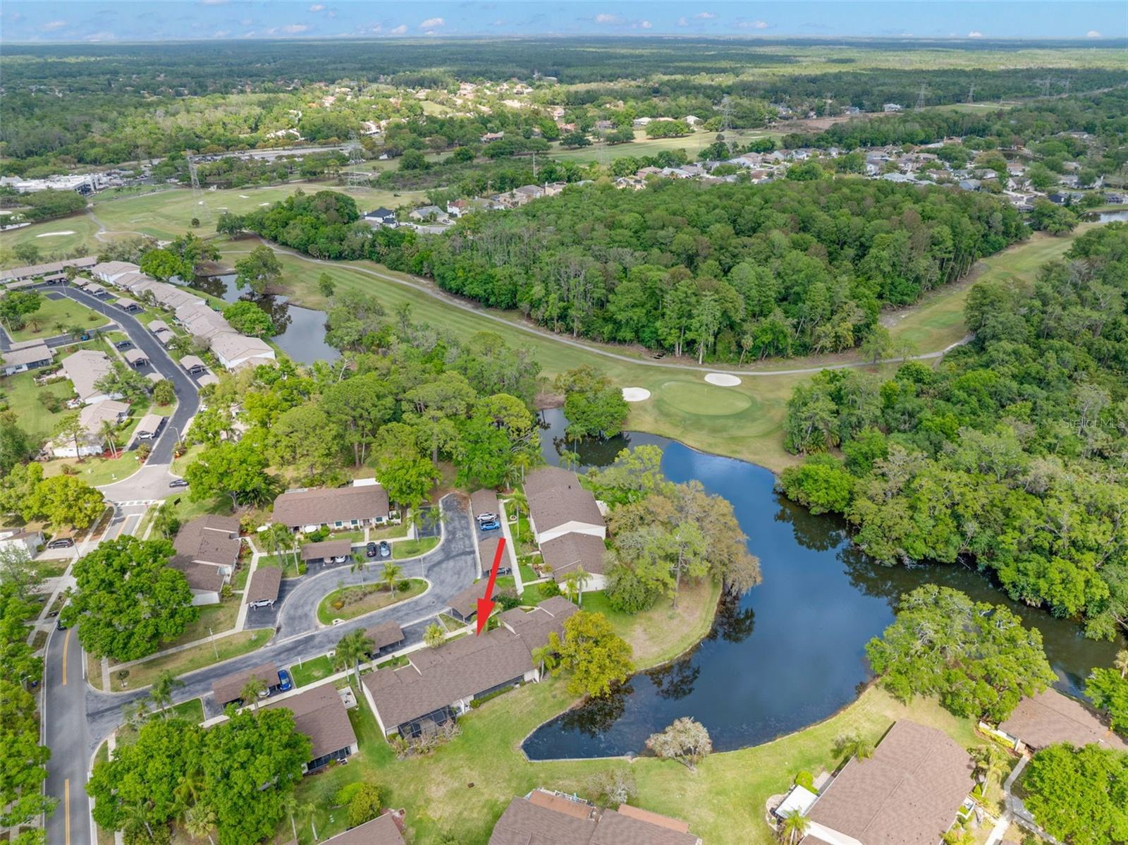 EAST LAKE WOODLANDS CLUSTER HOMES - Residential