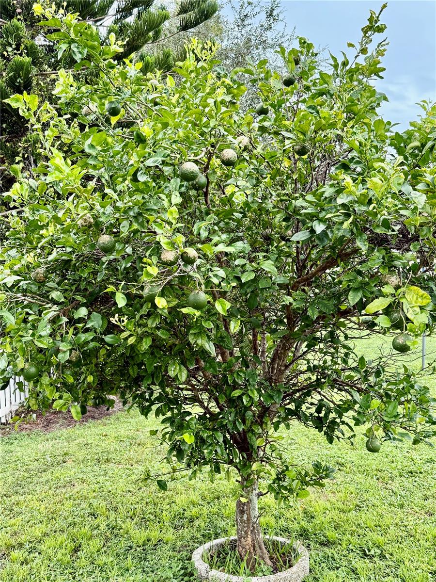 PORT CHARLOTTE SUB 55 - Residential