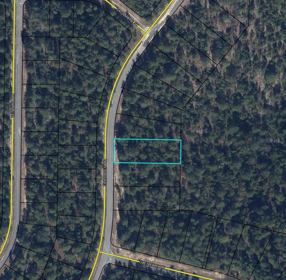 Photo of Tbd Fairhaven Drive, Chipley, FL 32428 (MLS # TB8562987)