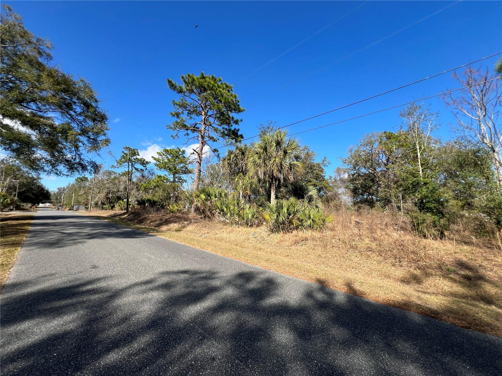 BELLEVIEWS SUNNY SKIES - Land