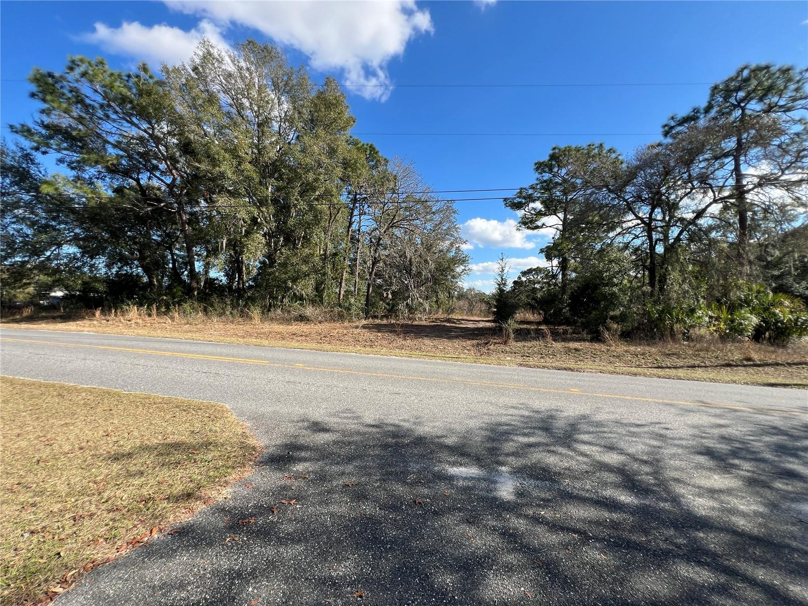 BELLEVIEWS SUNNY SKIES - Land