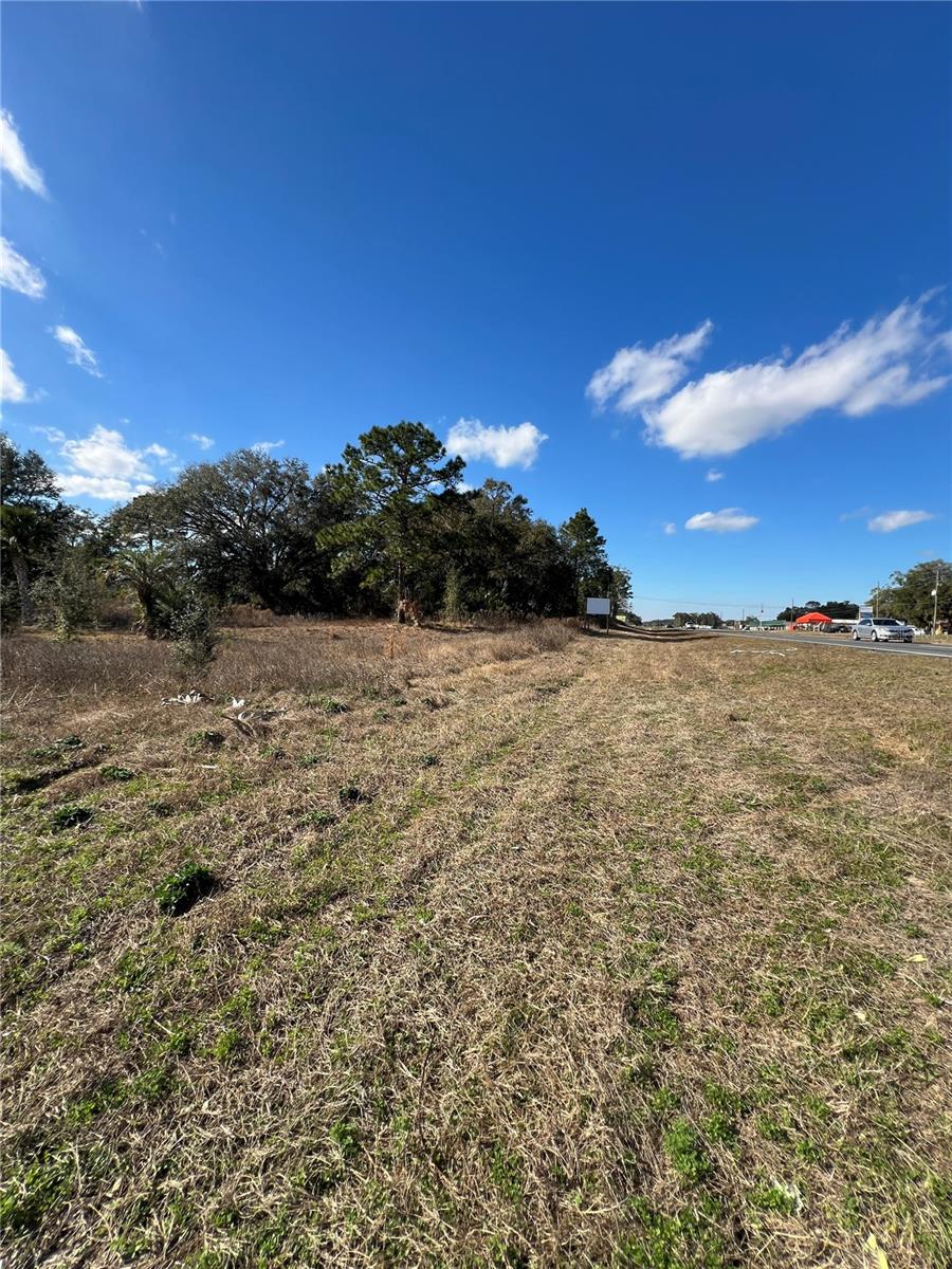 BELLEVIEWS SUNNY SKIES - Land