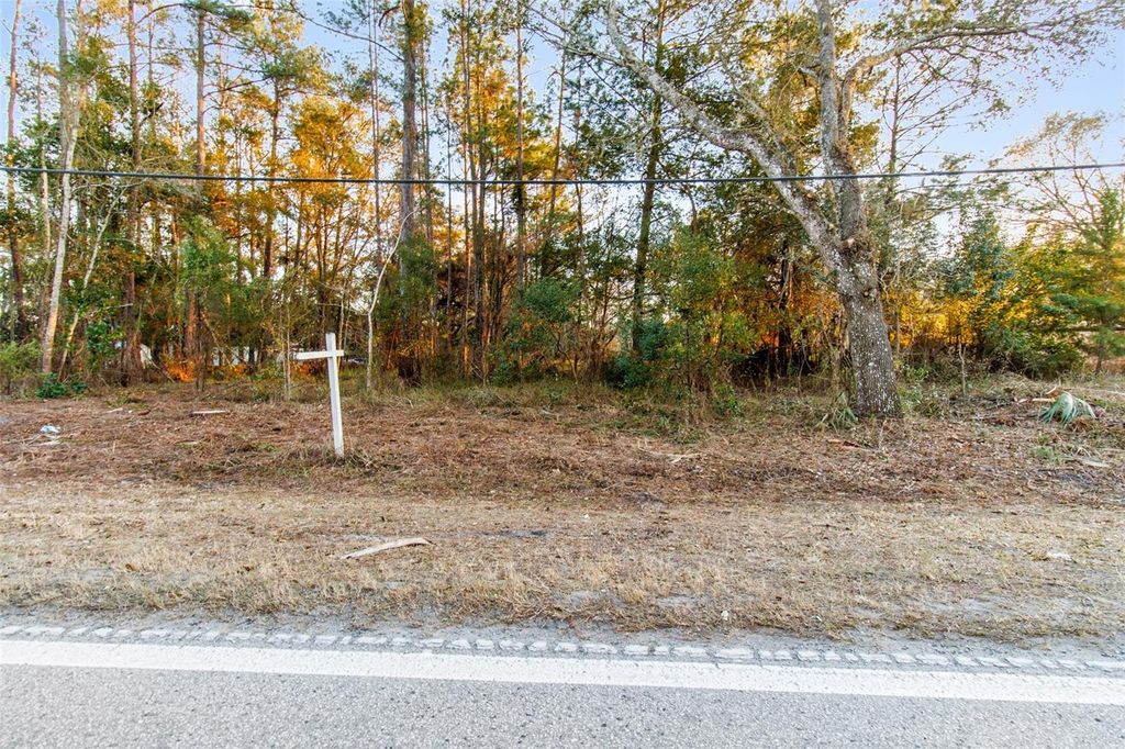 Photo of Powell Road, Brooksville, FL 34604 (MLS # TB8473778)