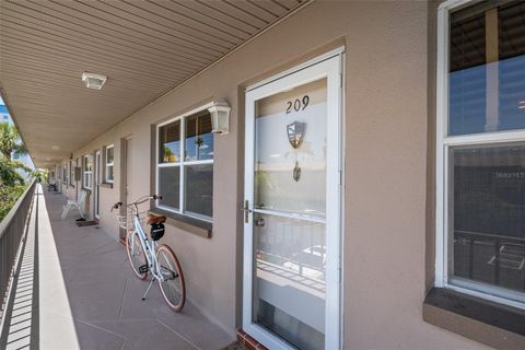 A home in DUNEDIN