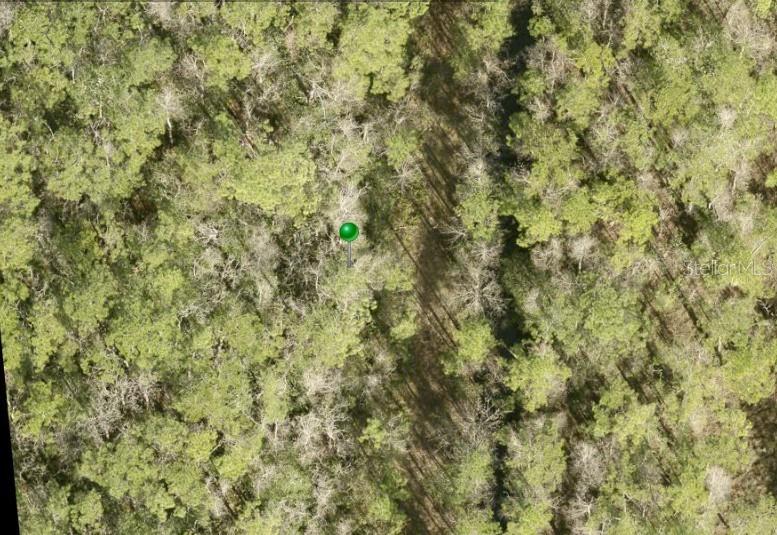 Photo of No Street, Lake Helen, FL 32744 (MLS # D6148940)
