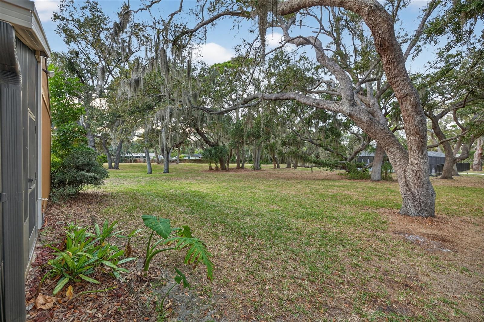 BEARDED OAKS - Residential