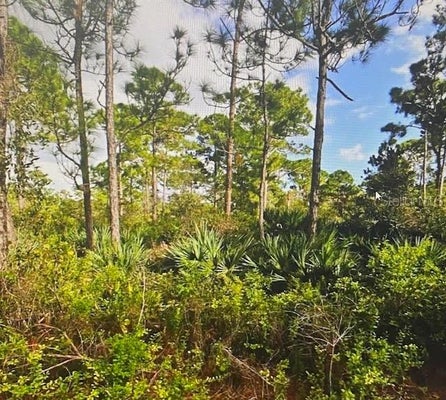 5550 TREE TOP TRL, FORT PIERCE, FL 34951 - Image 0ce383ea0a0ee78e08cb5d8ef2098ad5/3290208401