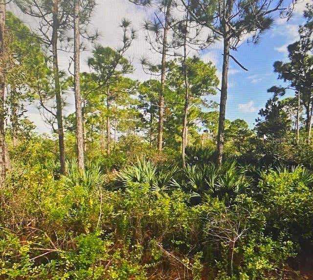 Photo of 5550 Tree Top Trail, Fort Pierce, FL 34951 (MLS # G5115181)