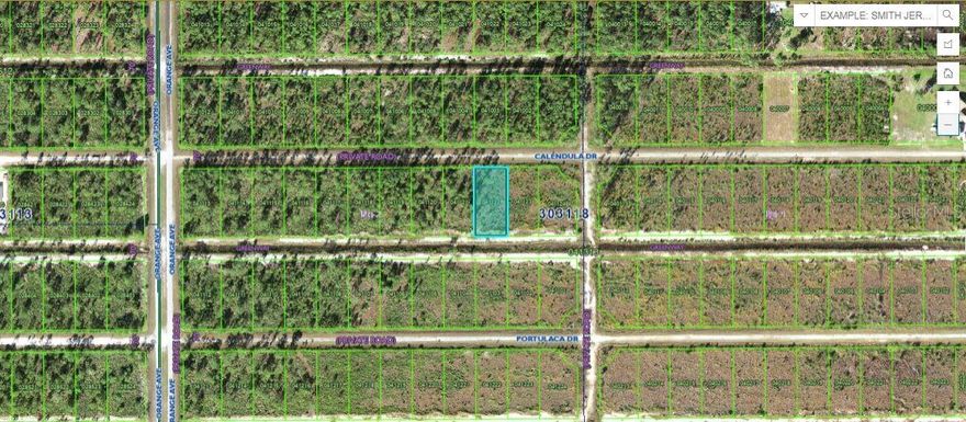 This 0.50-acre vacant  lot on Calendula Drive , Florida, "Zoning: PUD" is the perfect spot to build your dream spot. Enjoy a peaceful, spacious setting with room for outdoor living and easy access to community amenities, including a golf course, marina, and Lake Walk-in-Water. A great opportunity to create your ideal Florida lifestyle!Pin Location: Latitude 27.78107083 , Longitude -81.36327738. Note: buyers I emphasize the importance of conducting thorough due diligence to ensure that the property meets your expectations and requirements.