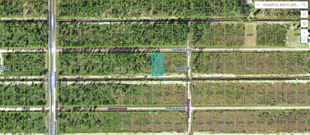 Photo of Calendula Drive, Indian Lake Estates, FL 33855 (MLS # O6272882)