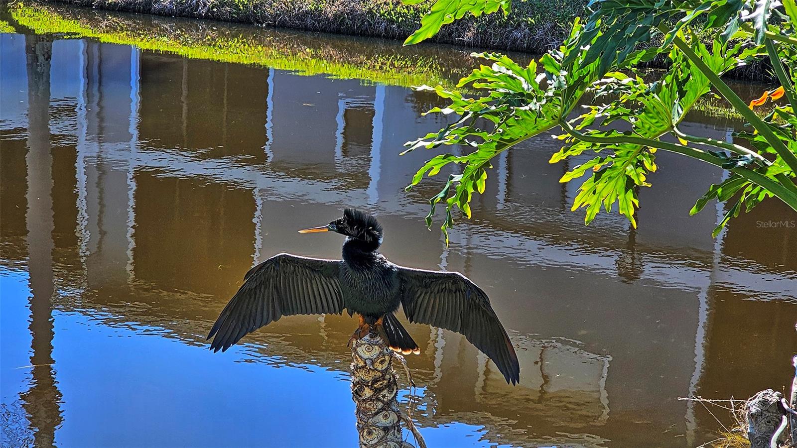 HARBOR PINES - Residential