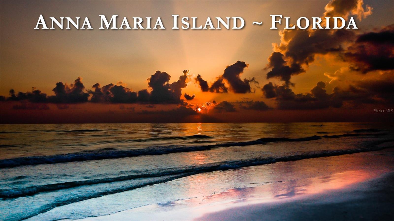 ILEXHURST - Residential