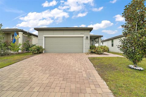 29360 CASPIAN STREET LEESBURG FL 34748