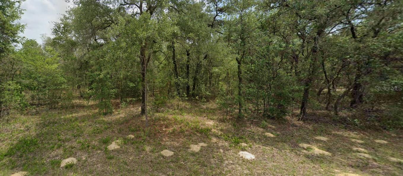 Welcome to this beautiful 0.23-acre homesite located in the highly desirable Citrus Springs community. Nestled in a quiet and growing neighborhood, this lot offers the perfect opportunity to build your dream home or invest in a piece of Florida paradise.
Paved roads
Electric nearby
Surrounded by newer homes and natural beauty
No HOA fees
Zoned for single-family residential use
Enjoy easy access to schools, parks, golf courses, and the scenic Withlacoochee State Trail. Whether you're looking to build now or hold for future growth, this lot is a smart move in a sought-after location.
Don't miss out contact me today for more information!