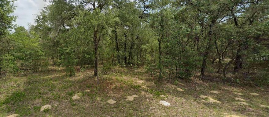 Welcome to this beautiful 0.23-acre homesite located in the highly desirable Citrus Springs community. Nestled in a quiet and growing neighborhood, this lot offers the perfect opportunity to build your dream home or invest in a piece of Florida paradise.
Paved roads
Electric nearby
Surrounded by newer homes and natural beauty
No HOA fees
Zoned for single-family residential use

Enjoy easy access to schools, parks, golf courses, and the scenic Withlacoochee State Trail. Whether you're looking to build now or hold for future growth, this lot is a smart move in a sought-after location.

Don't miss out contact me today for more information!