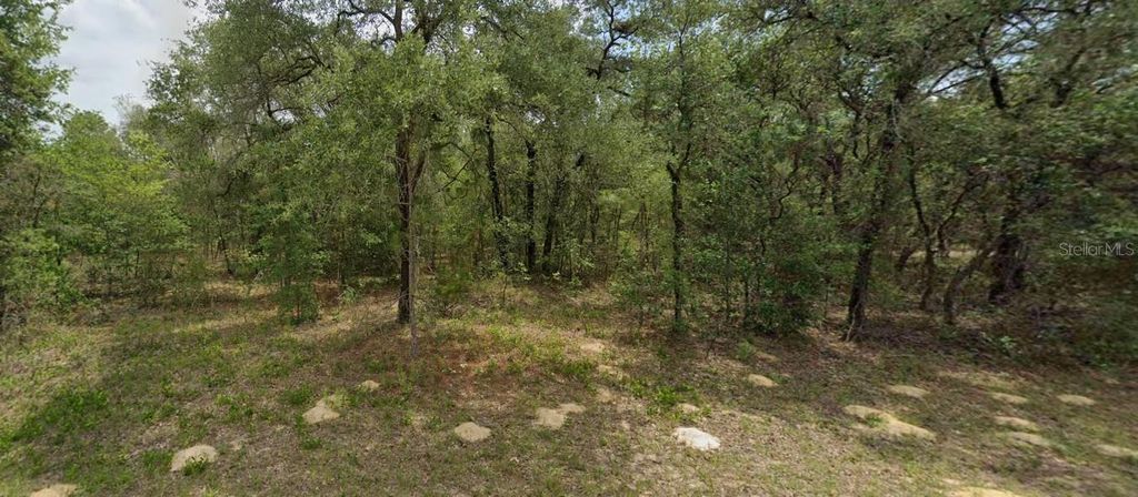 Photo of 6455 N Whispering Dr, Citrus Springs, FL 34434 (MLS # OM705333)