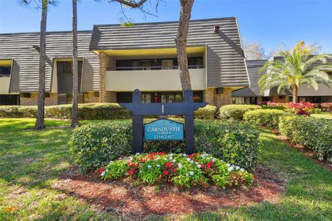 A home in PALM HARBOR