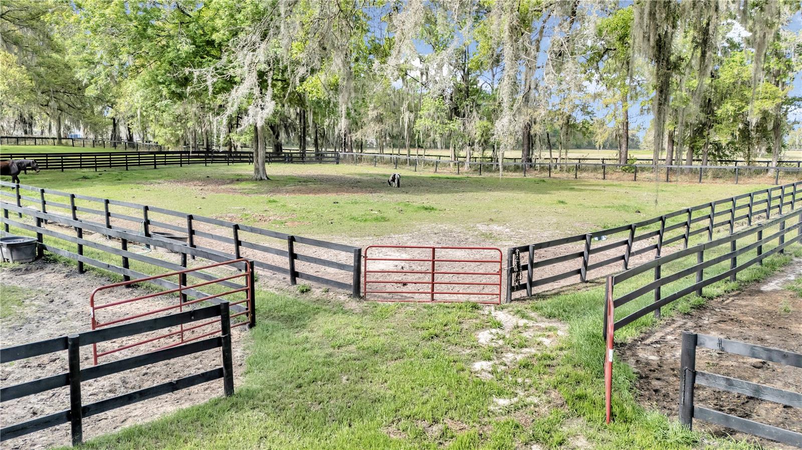 FORTY OAKS FARM - Farm