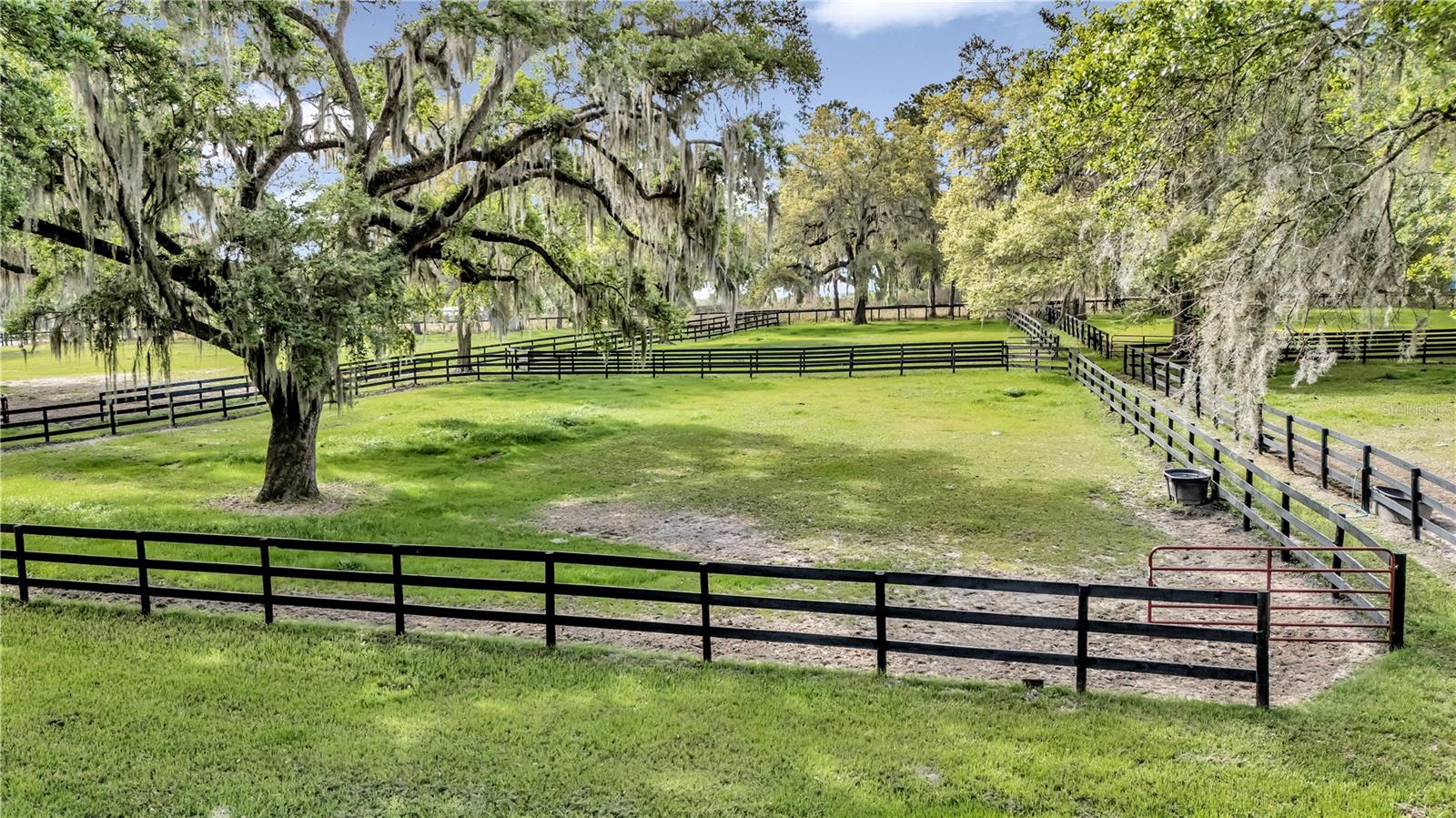 FORTY OAKS FARM - Farm