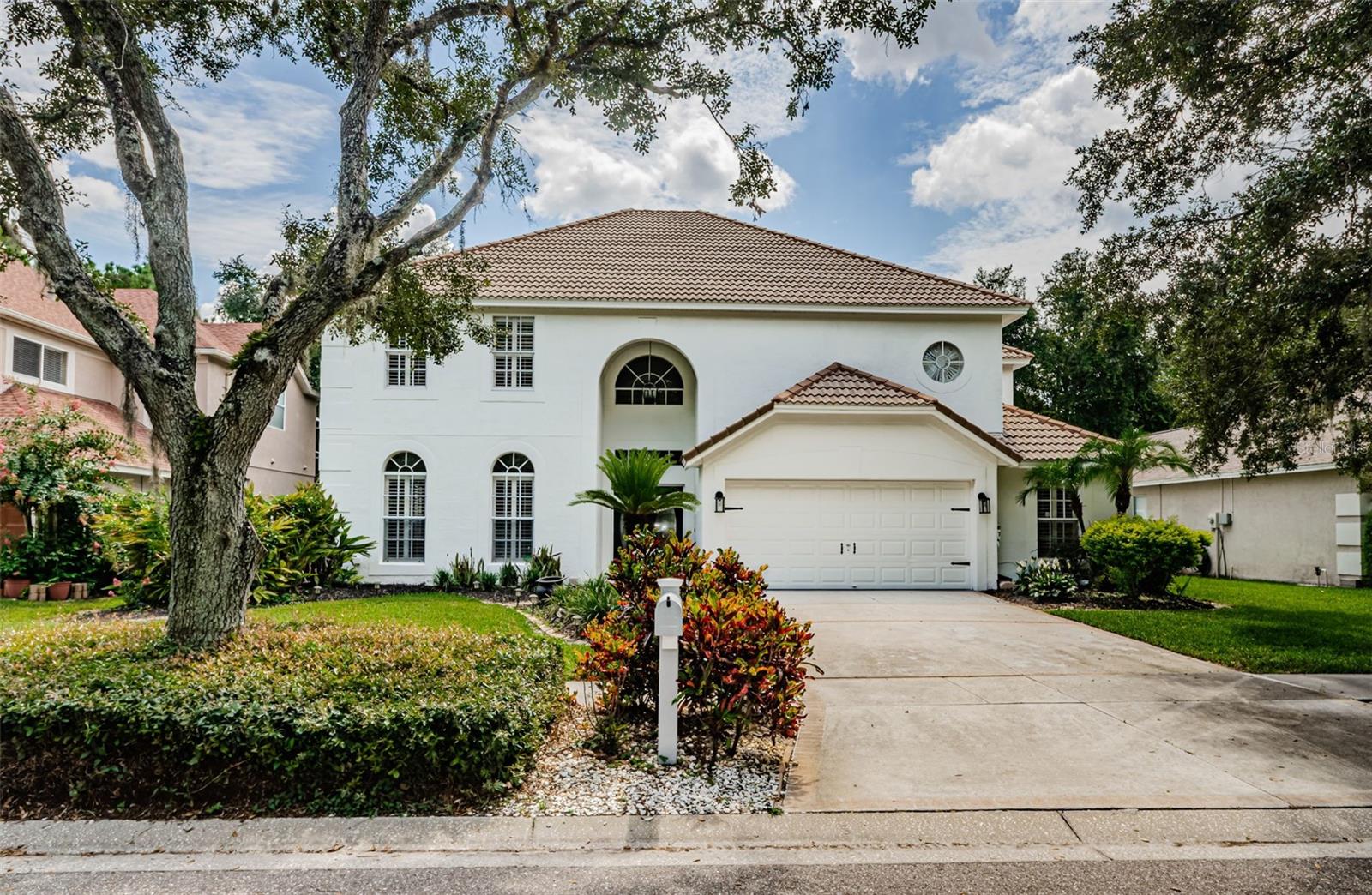 View TAMPA, FL 33647 house