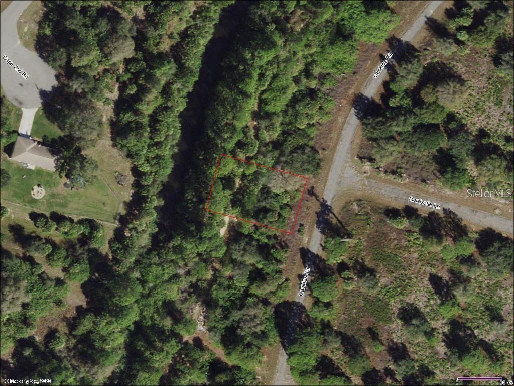 This 1/4-acre lot in North Port, located on an active water canal, No HOA, or CDD fees, is available for new home construction. Owner financing is available at comparable rates and terms or bring your cash offer. The property is near the planned I-75 interchange exit project, providing easy commutes to Tampa, Sarasota, Venice, Fort Myers, and Punta Gorda. North Port offers many community amenities such as The North Port Aquatic Center water park, The Atlanta Braves spring training stadium, Warm Mineral Springs, Tampa Bay Rays spring training stadium, shopping, dining, public parks, and proximity to Gulf Coast beaches within a 30-minute drive. Buyer is responsible for a $2,000 Clear to Sell process fee for clear title.