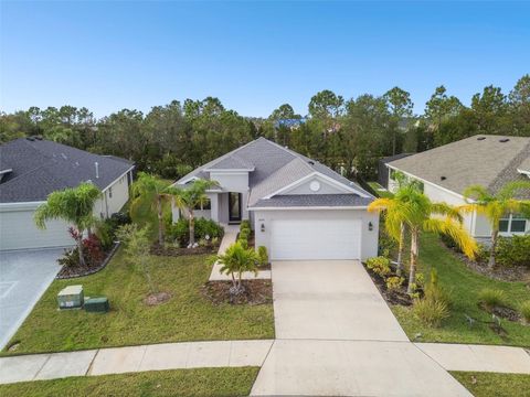 12743 RAINWASHED LOOP PARRISH FL 34219