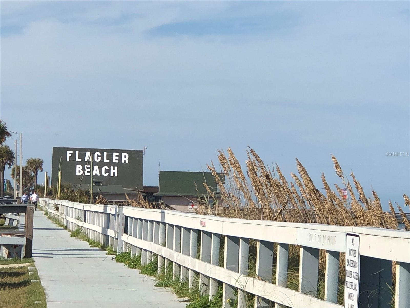 PALM COAST SEC 59 - Land