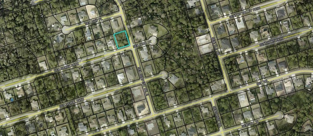 Photo of 29 Sea Shark Path, Palm Coast, FL 32164 (MLS # FC314837)