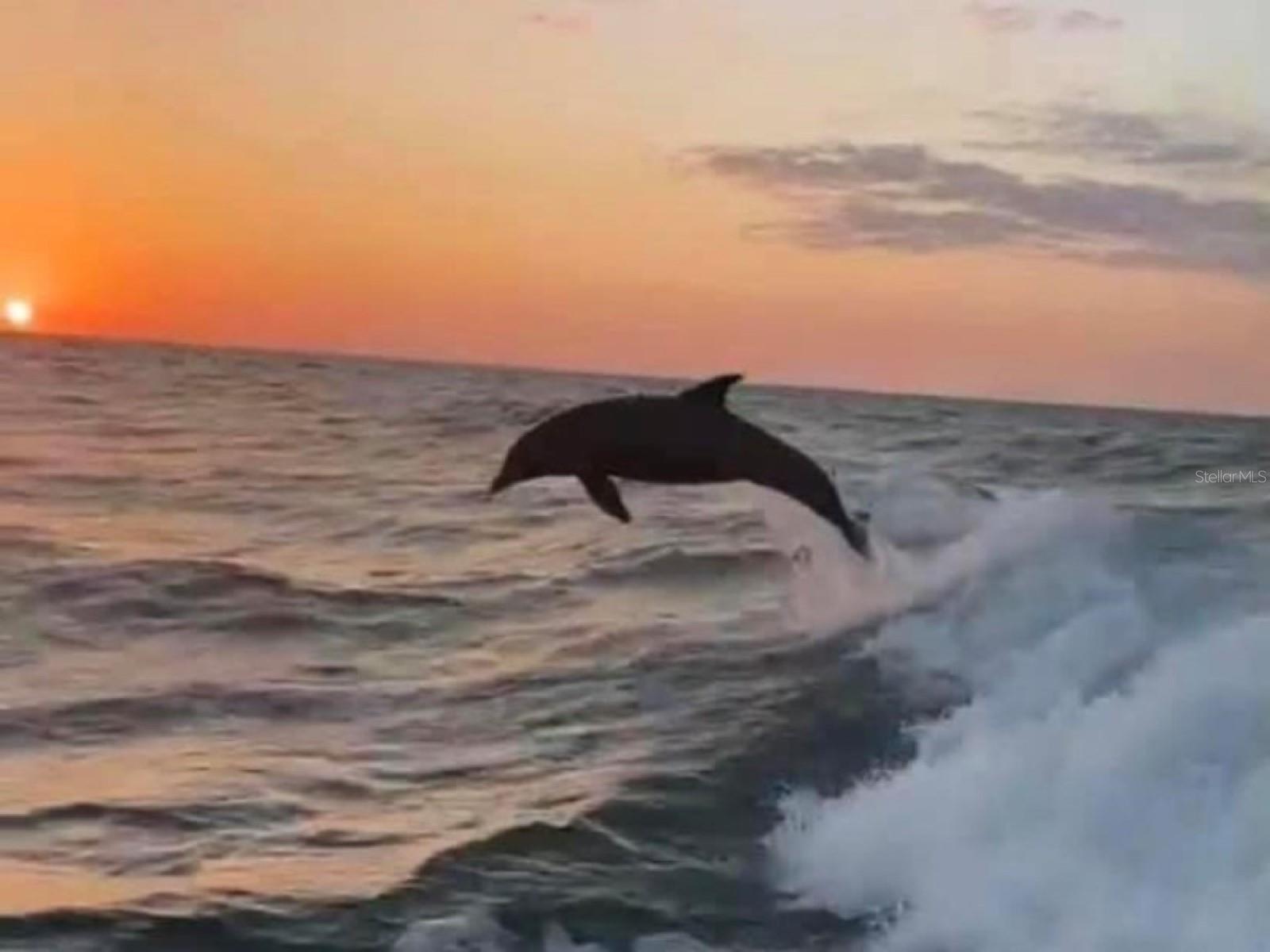 HARBOR WOODS - Residential Lease